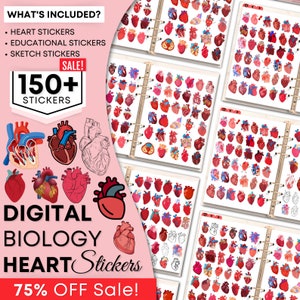 Könnte beinhalten: Ein digitaler Download von über 150 Herz-Anatomie-Stickern zur Verwendung in digitalen Planern, Notizbüchern oder anderen digitalen Projekten. Die Sticker zeigen eine Vielzahl von Herzillustrationen, darunter anatomische Diagramme, stilisierte Herzen und Comic-Herzen. Der Text "SALE! 75% OFF" wird auf einem rosa Hintergrund angezeigt.