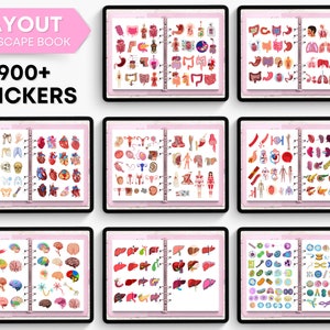 Biology & Anatomy Digital Stickers Pre-cropped Human Body Stickers Hand-Drawn iPad GoodNotes PNG File Note-Taking Pharmacology image 3