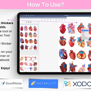 Biology & Anatomy Digital Stickers Pre-cropped Human Body Stickers Hand-Drawn iPad GoodNotes PNG File Note-Taking Pharmacology image 7