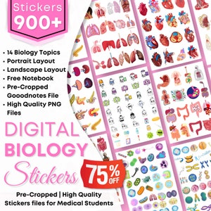 Biology & Anatomy Digital Stickers Pre-cropped Human Body Stickers Hand-Drawn iPad GoodNotes PNG File Note-Taking Pharmacology image 1