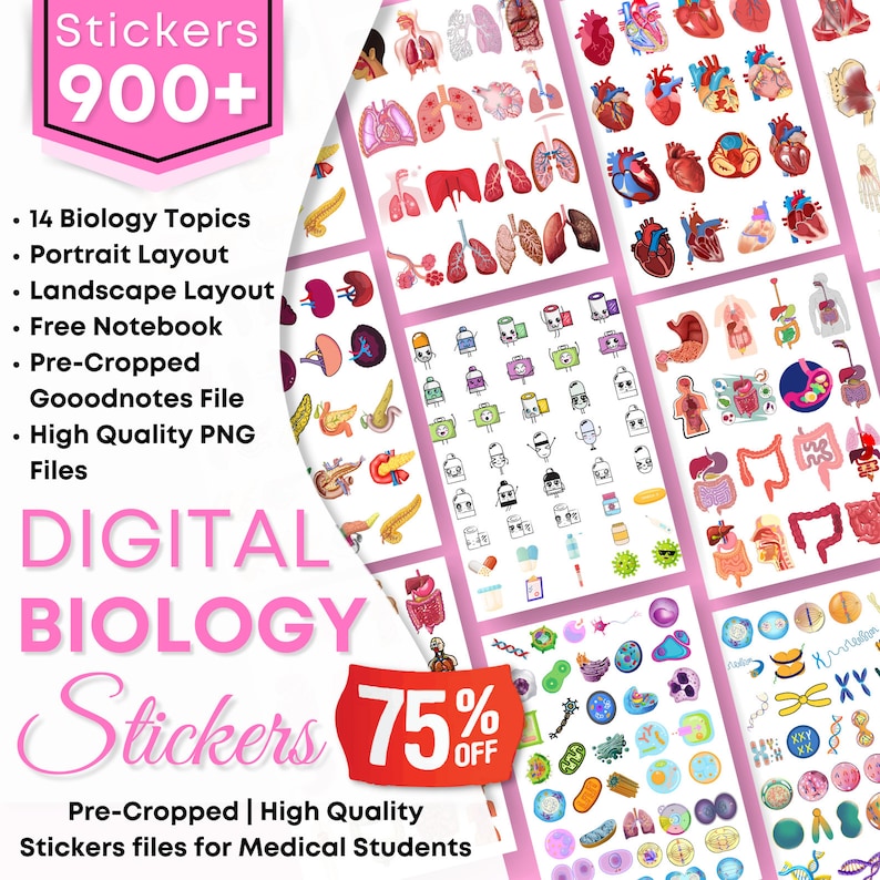 Biology & Anatomy Digital Stickers Pre-cropped Human Body Stickers Hand-Drawn iPad GoodNotes PNG File Note-Taking Pharmacology image 1