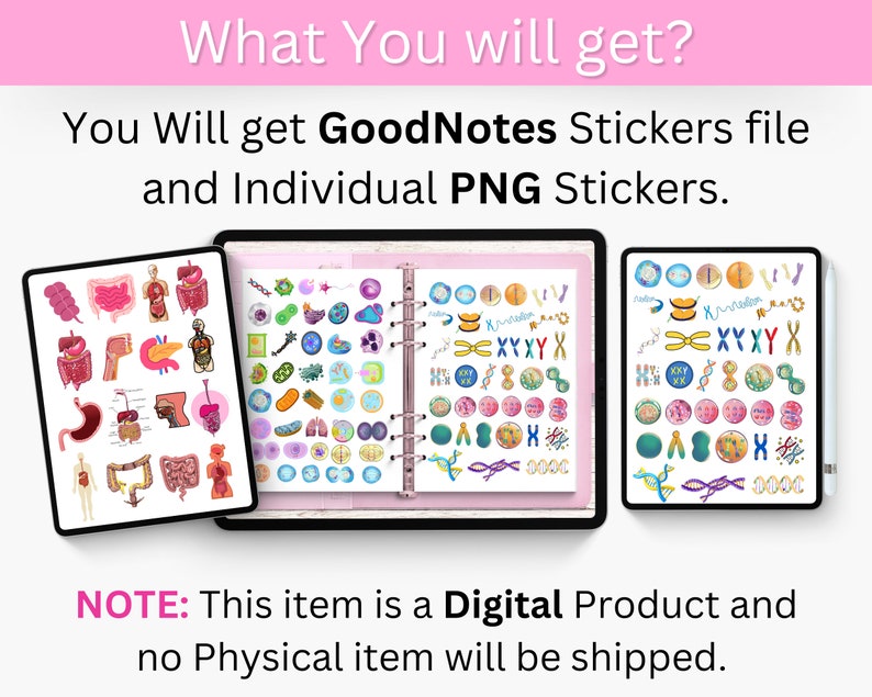 Biology & Anatomy Digital Stickers Pre-cropped Human Body Stickers Hand-Drawn iPad GoodNotes PNG File Note-Taking Pharmacology image 10