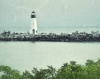 May include: A white lighthouse with a black roof and a green door stands on a rocky breakwater. The lighthouse is surrounded by calm blue water and a lush green foreground.