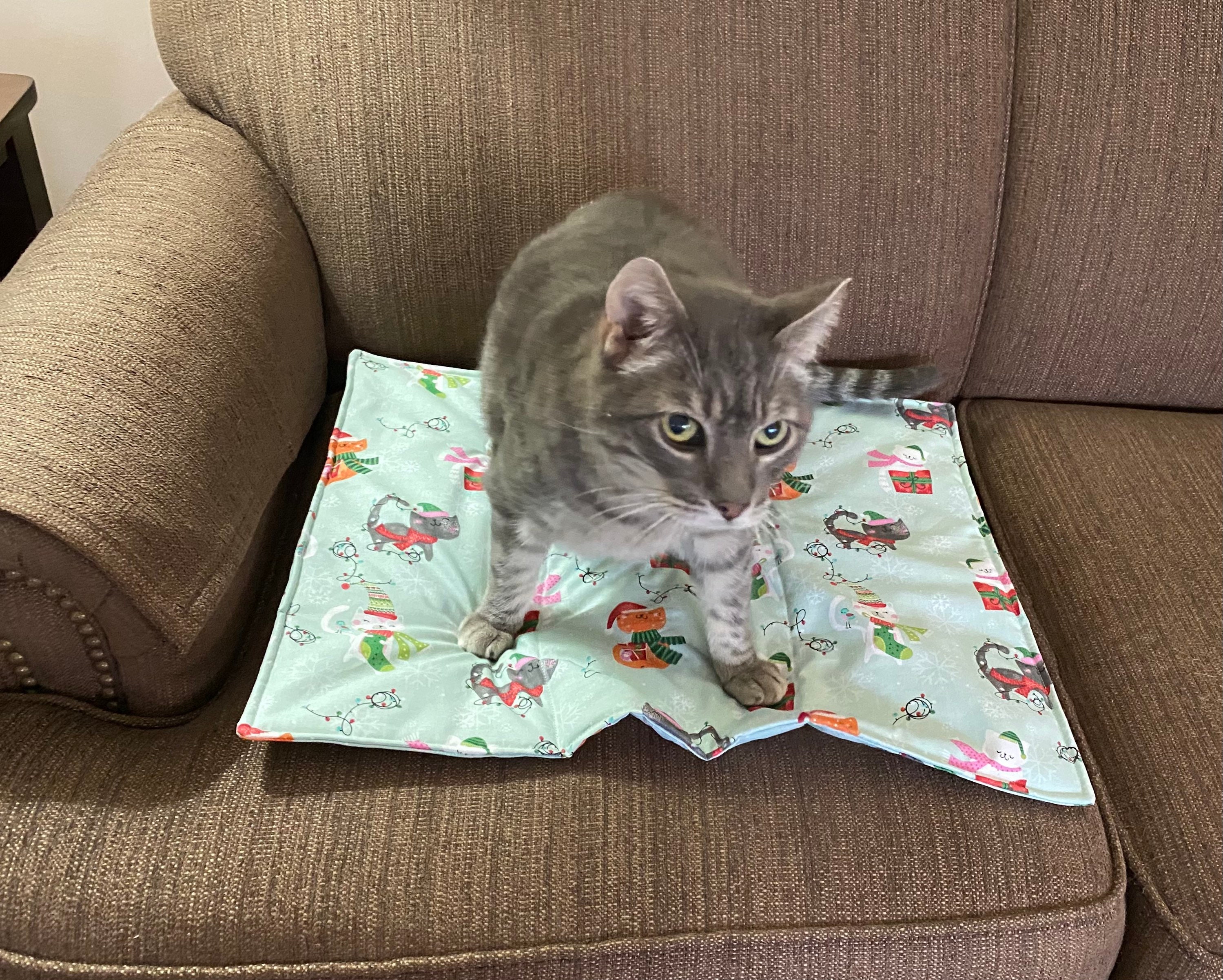 Light Green Christmas Cat Blanket Bed Mat small Etsy