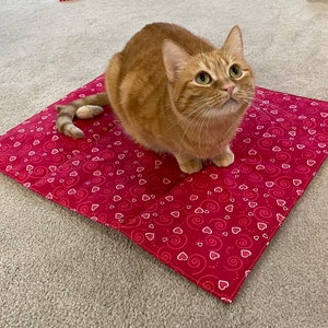 May include: A red and white patterned cat bed with a ginger cat sitting on it. The cat bed has a white background with red hearts and swirls.
