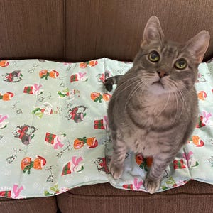 Light Green Christmas Themed Cat Blanket Mat Bed (large)
