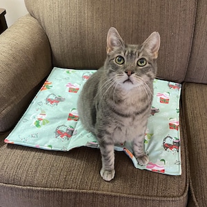 以下が含まれることがあります： サンタの帽子とマフラーをつけた猫の小さなカラフルなイラストが描かれた、薄い青と白のクリスマス柄のペットベッドに座っているグレーの虎柄の猫。