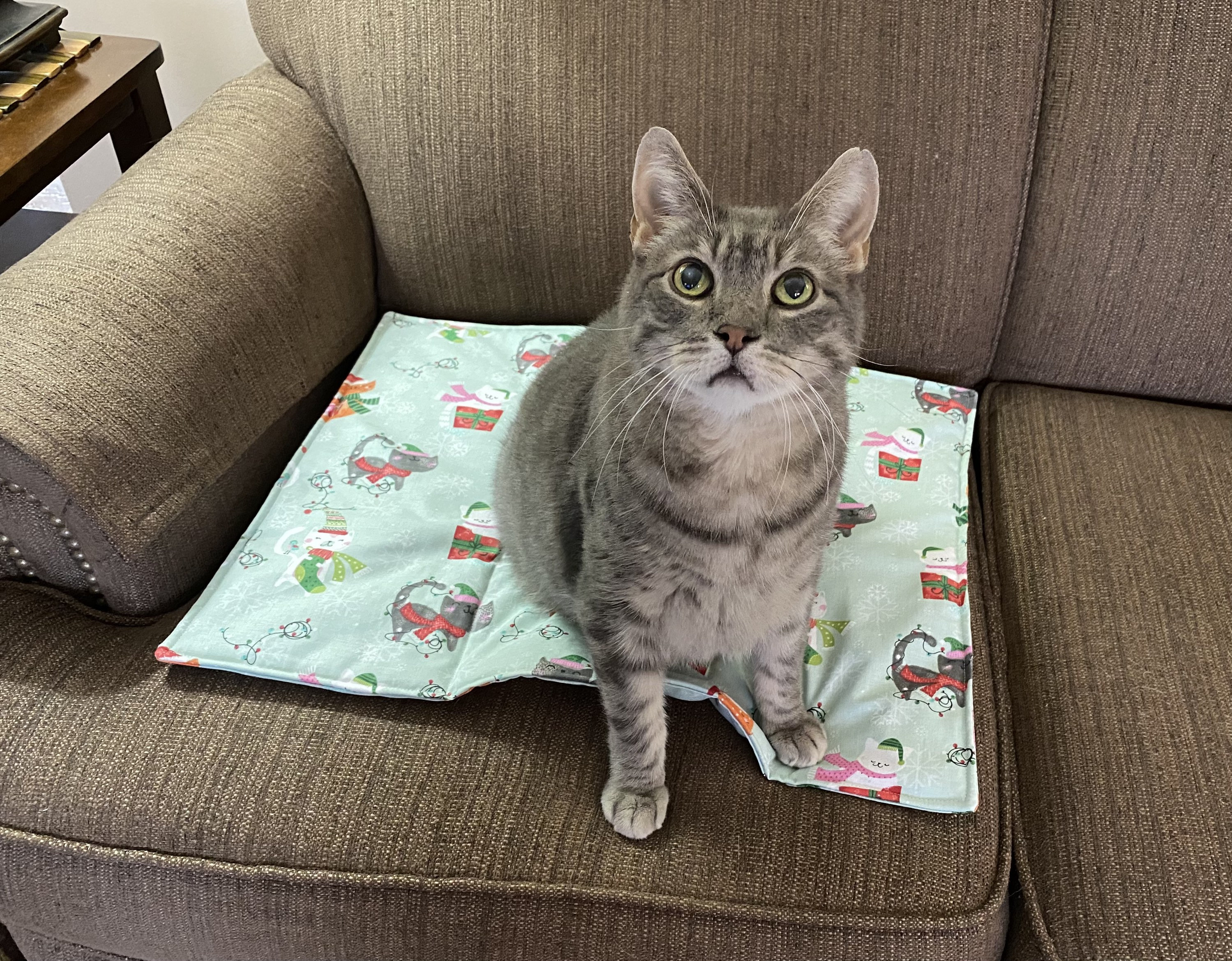 Light Green Christmas Cat Blanket Bed Mat small Etsy