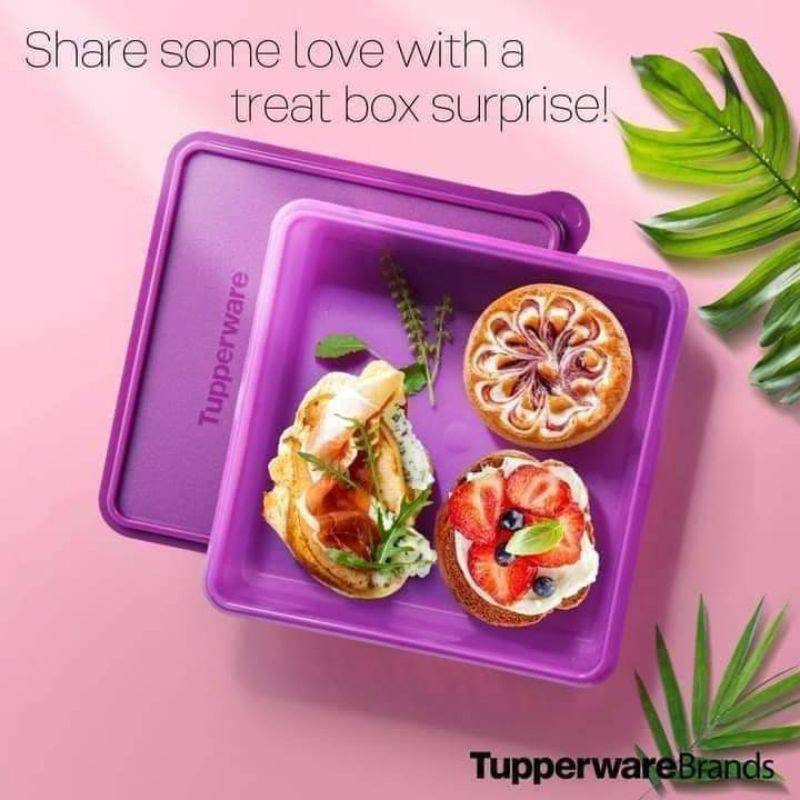 Tupperware B2B/ Mosaic Snack Keeper Store 2.9L