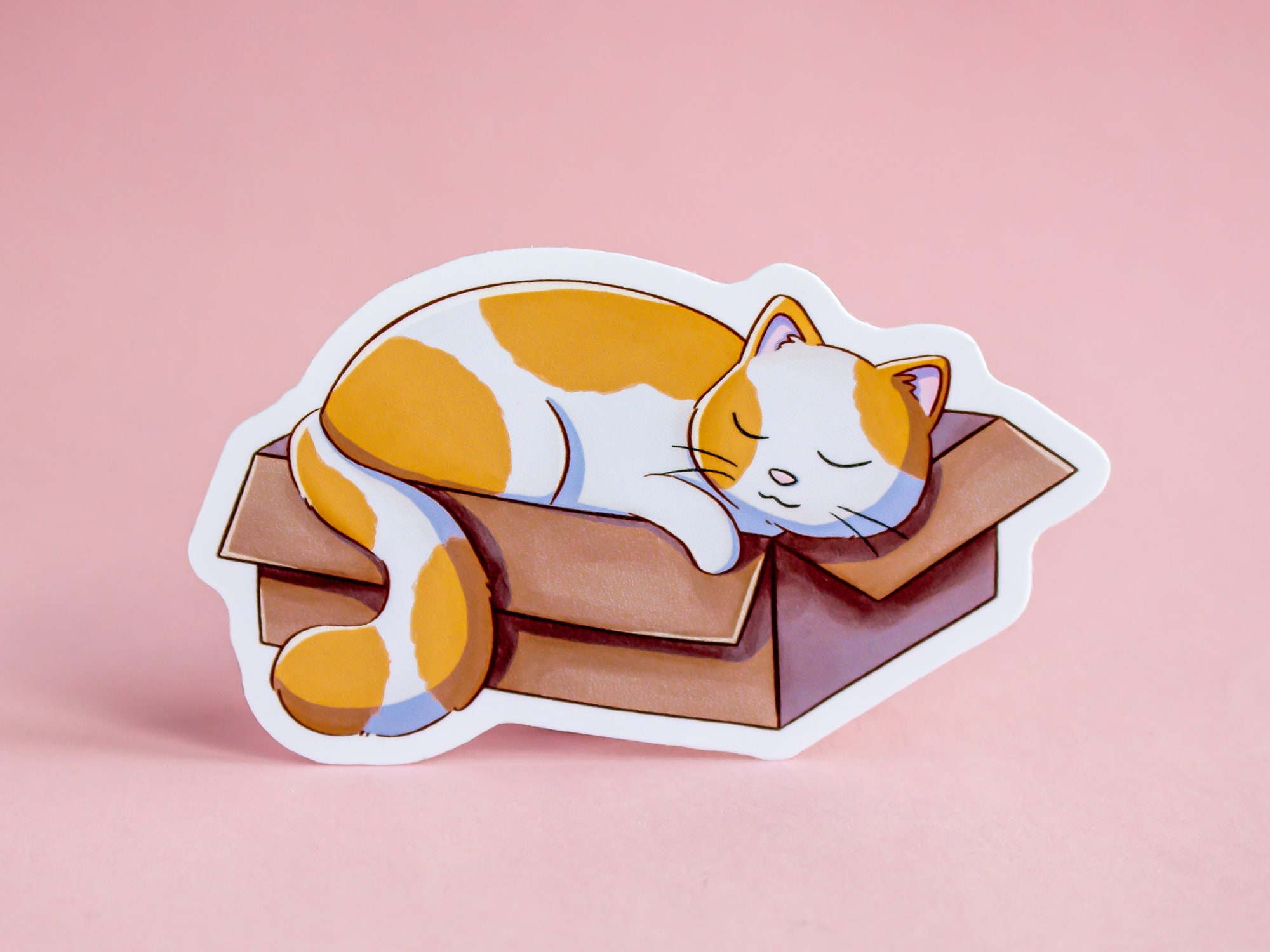 Cat Sleeping in A Box - Cute Cat Sticker - Laptop Stickers - Gift for ...