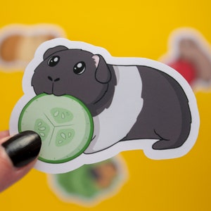 Niedliche Meerschweinchen Sticker Pack - Laptop Aufkleber - Planer Sticker (4er Pack)