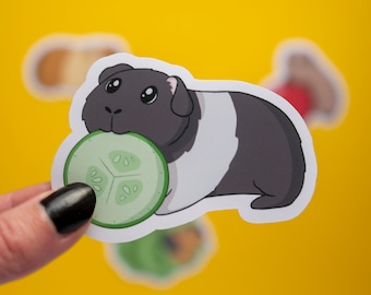 Lot d'autocollants imperméables mignons de cochon d'Inde - Autocollants pour ordinateur portable - Autocollant pour agenda (Lot de 4)