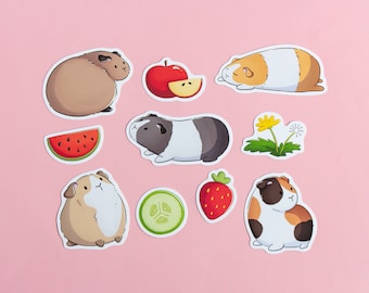 Cute Guinea Pig Sticker Pack - Funny Guinea Pigs Sticker - Water Bottle, Laptop, Planner Decal (Pack of 10)