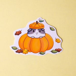 May include: A white and gray guinea pig wearing a pumpkin hat sits inside a large orange pumpkin. The pumpkin is surrounded by brown and orange fall leaves.