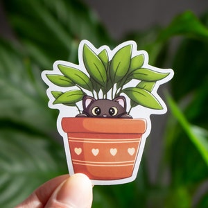 May include: A black cat peeking out of a terracotta pot with green leafy plants. The pot has a white rim and white hearts around the middle.