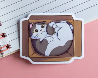 Niedliche Katze in Box – Katzenaufkleber – Laptop-Aufkleber – Geschenk für Katzenliebhaber