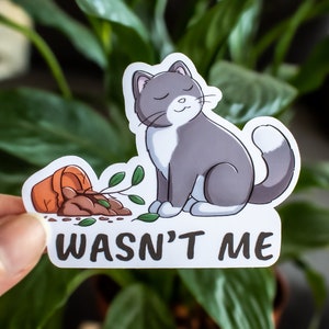May include: A grey and white cat with a white tail sits next to a broken flower pot with the text "Wasn't Me" on a white background.