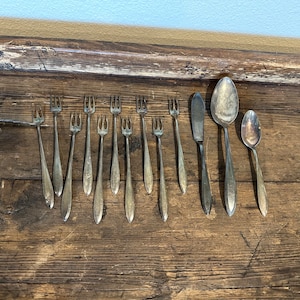 13 piece lot - vintage Oneida community plate silverplate flatware shrimp oyster seafood forks, serving spoon, butter knife