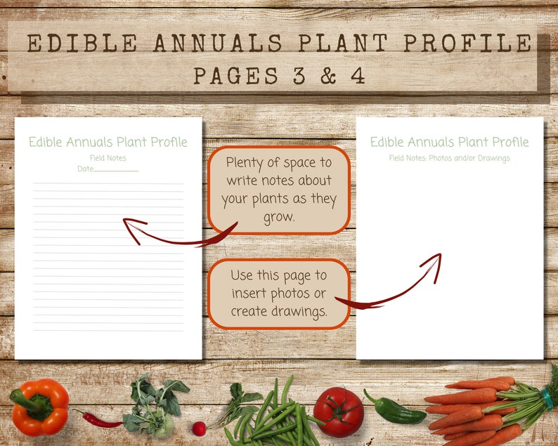 Feuilles de profil des plantes fruitières et légumes annuelles imprimables, téléchargement instantané PDF, page de description de la plante et feuilles de travail, fiche d'information sur la plante image 3