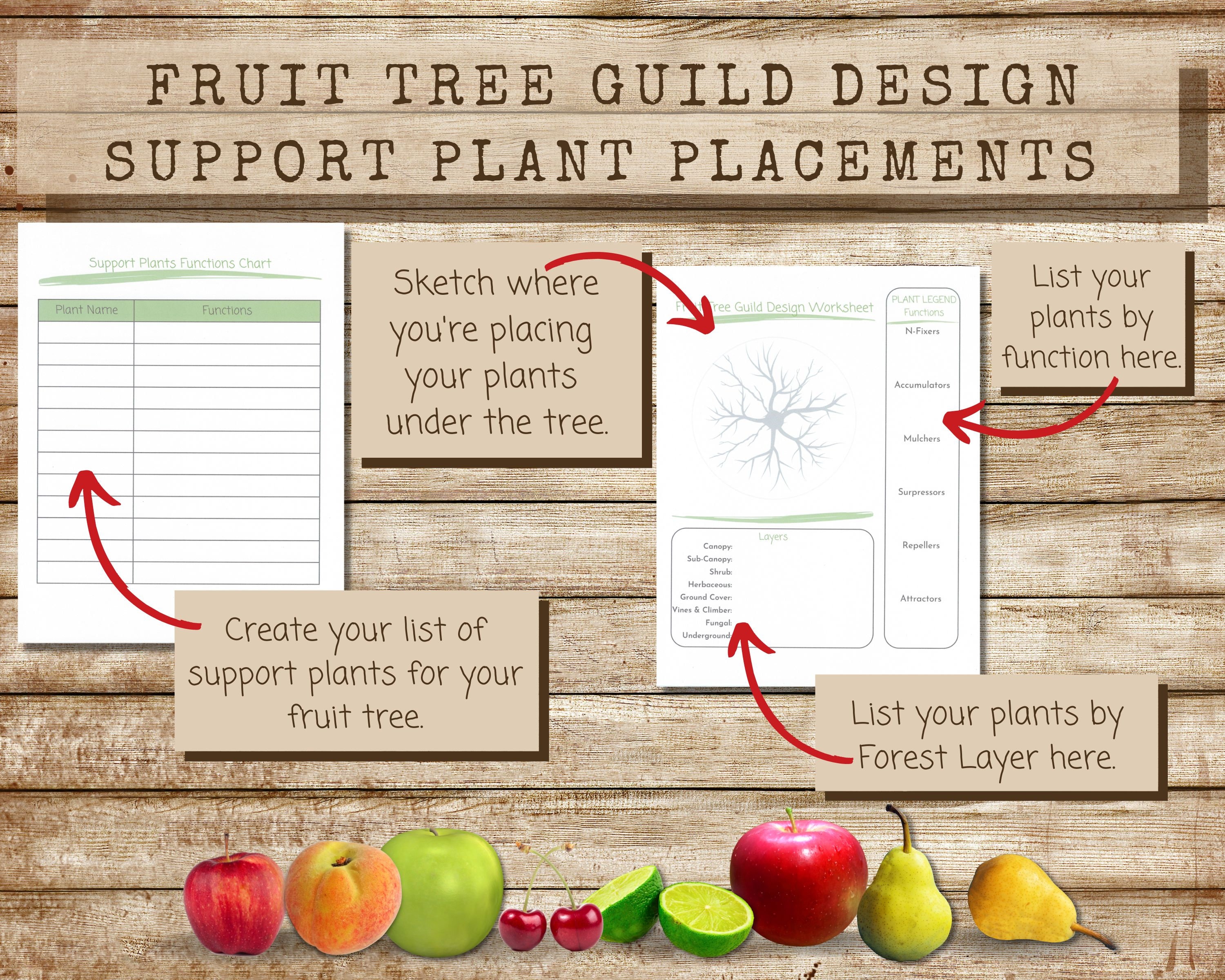 Printable Fruit Tree Guild Design Workbook, Permaculture Tree Guild
