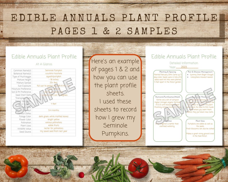 Feuilles de profil des plantes fruitières et légumes annuelles imprimables, téléchargement instantané PDF, page de description de la plante et feuilles de travail, fiche d'information sur la plante image 5