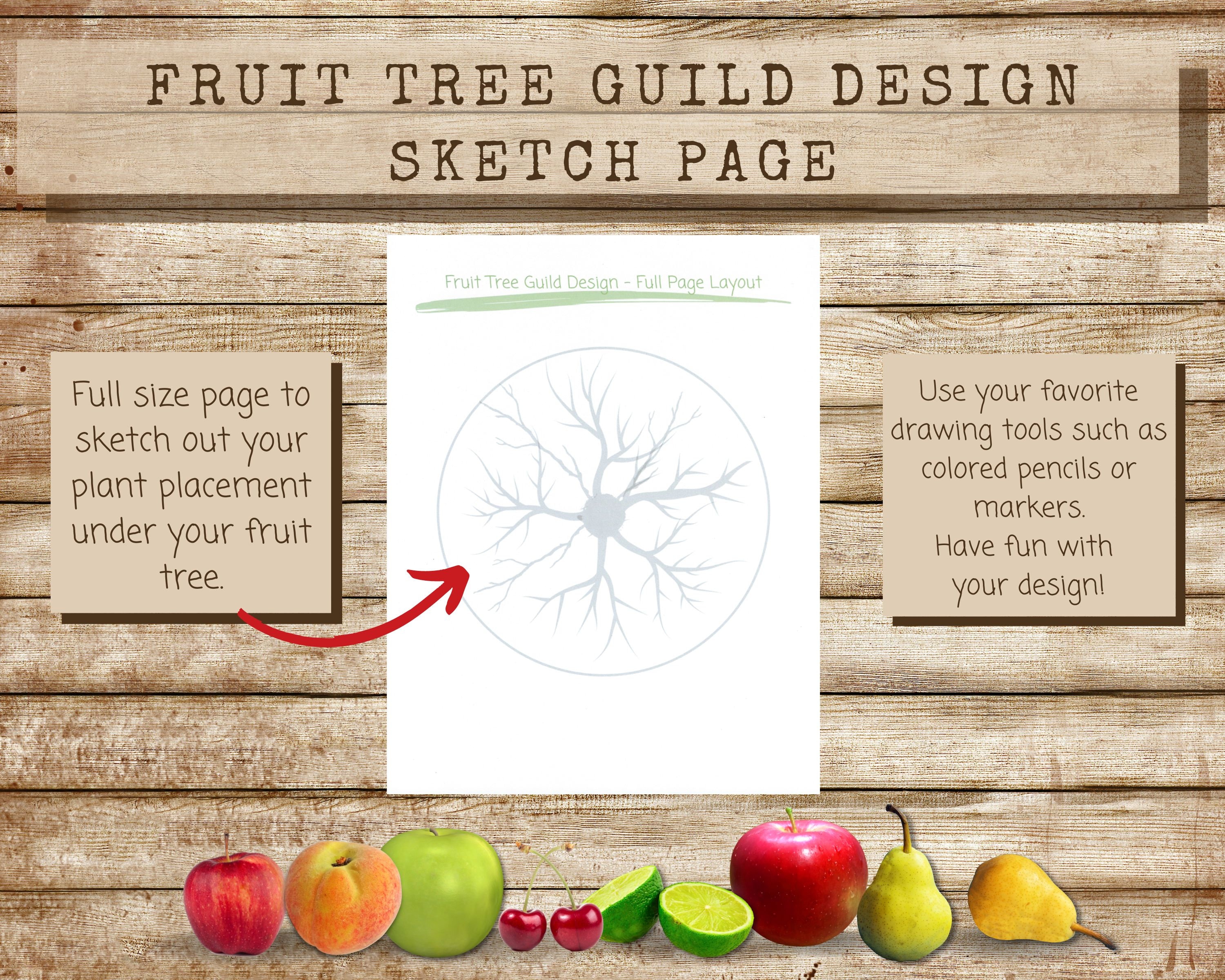 Printable Fruit Tree Guild Design Workbook, Permaculture Tree Guild