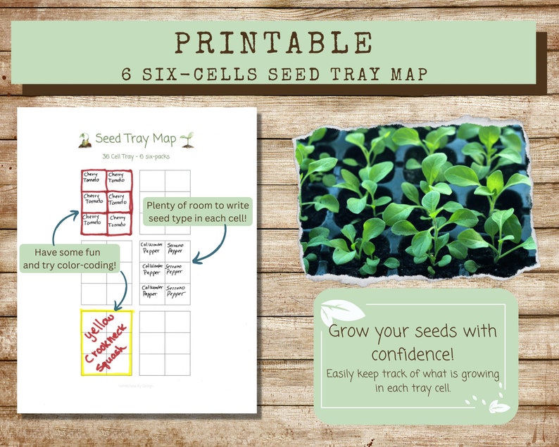 Printable Seed Tray Map 6 Sixpacks in a 1020 Tray Layout, Seed