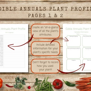 Feuilles de profil des plantes fruitières et légumes annuelles imprimables, téléchargement instantané PDF, page de description de la plante et feuilles de travail, fiche d'information sur la plante image 2