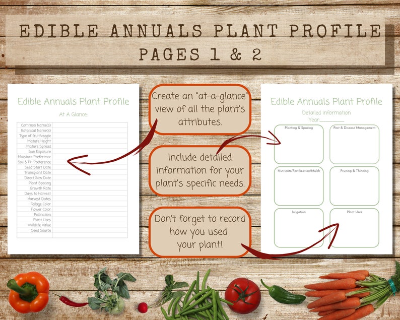 Feuilles de profil des plantes fruitières et légumes annuelles imprimables, téléchargement instantané PDF, page de description de la plante et feuilles de travail, fiche d'information sur la plante image 2