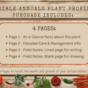 Feuilles de profil des plantes fruitières et légumes annuelles imprimables, téléchargement instantané PDF, page de description de la plante et feuilles de travail, fiche d'information sur la plante image 4