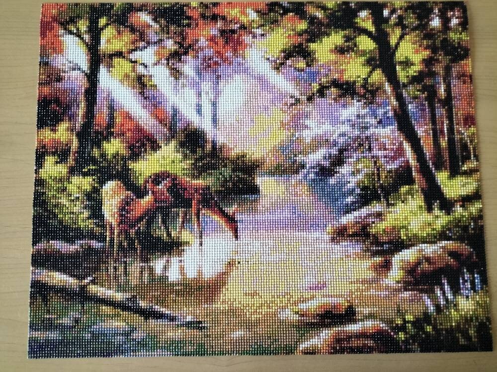 Scène de 2 Biches en Train Boire à Une Rivière Dans La Forêt