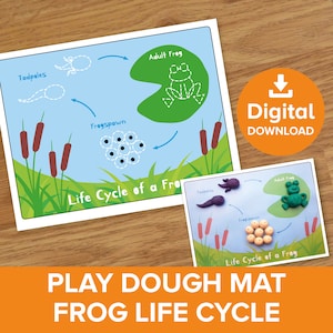 May include: A printable play dough mat featuring the life cycle of a frog. The mat includes illustrations of a tadpole, frog spawn, and an adult frog. The mat is designed for children to learn about the life cycle of a frog.