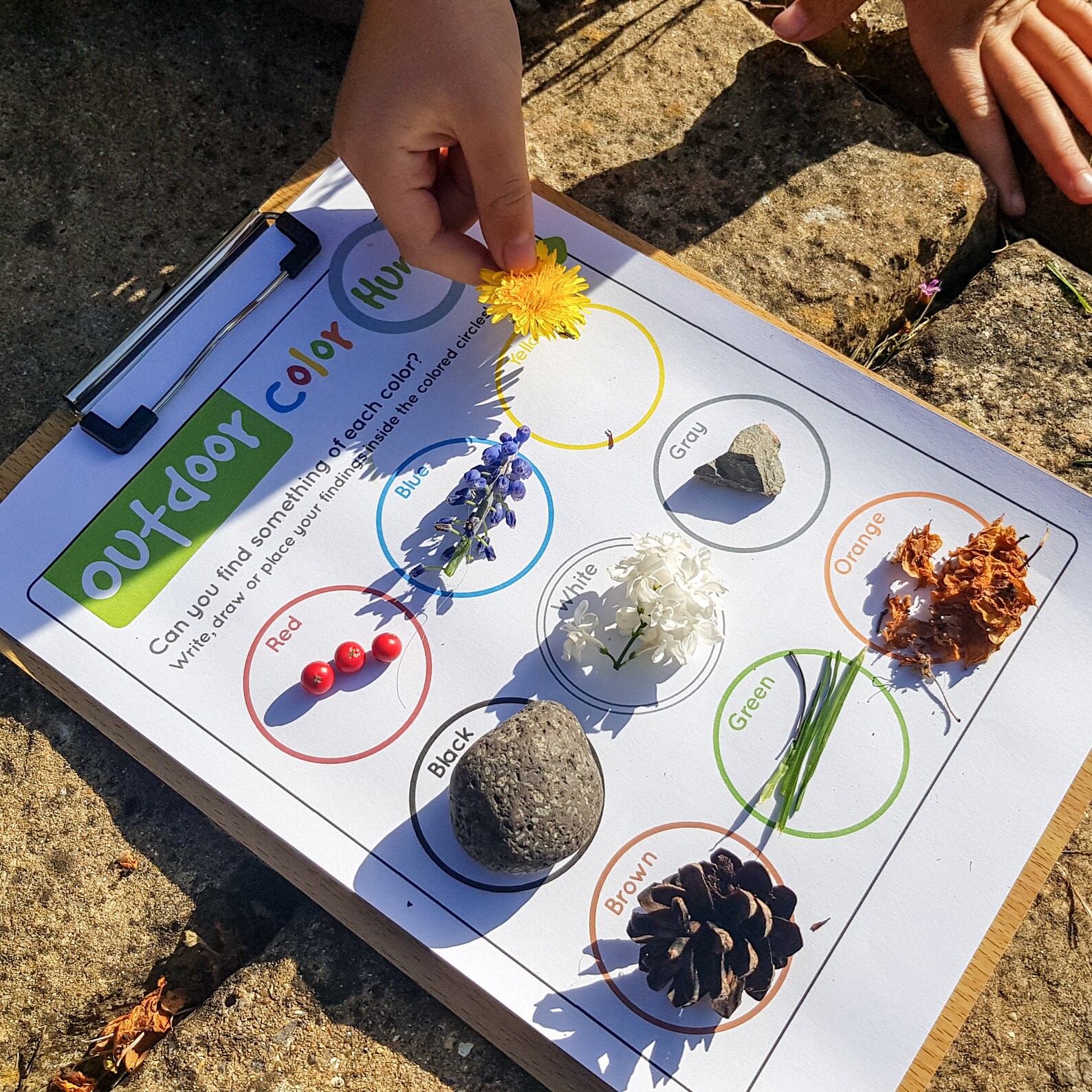 Color Scavenger Hunt Challenge, Kids Colour Treasure Trail Game ...