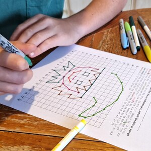 Pode incluir: Uma pessoa est&aacute; desenhando um abacaxi em papel quadriculado com marcadores verdes, rosa, marrom e verde. O papel tem uma grade e coordenadas. Outras canetas est&atilde;o vis&iacute;veis na mesa de madeira.