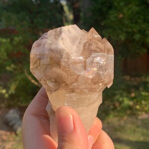 Smoky Quartz Elestial Scepter 386g