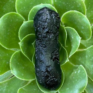 Black Tektite 38g