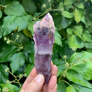 Auralite 23 171g