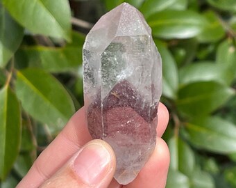 Red Phantom Quartz 79g