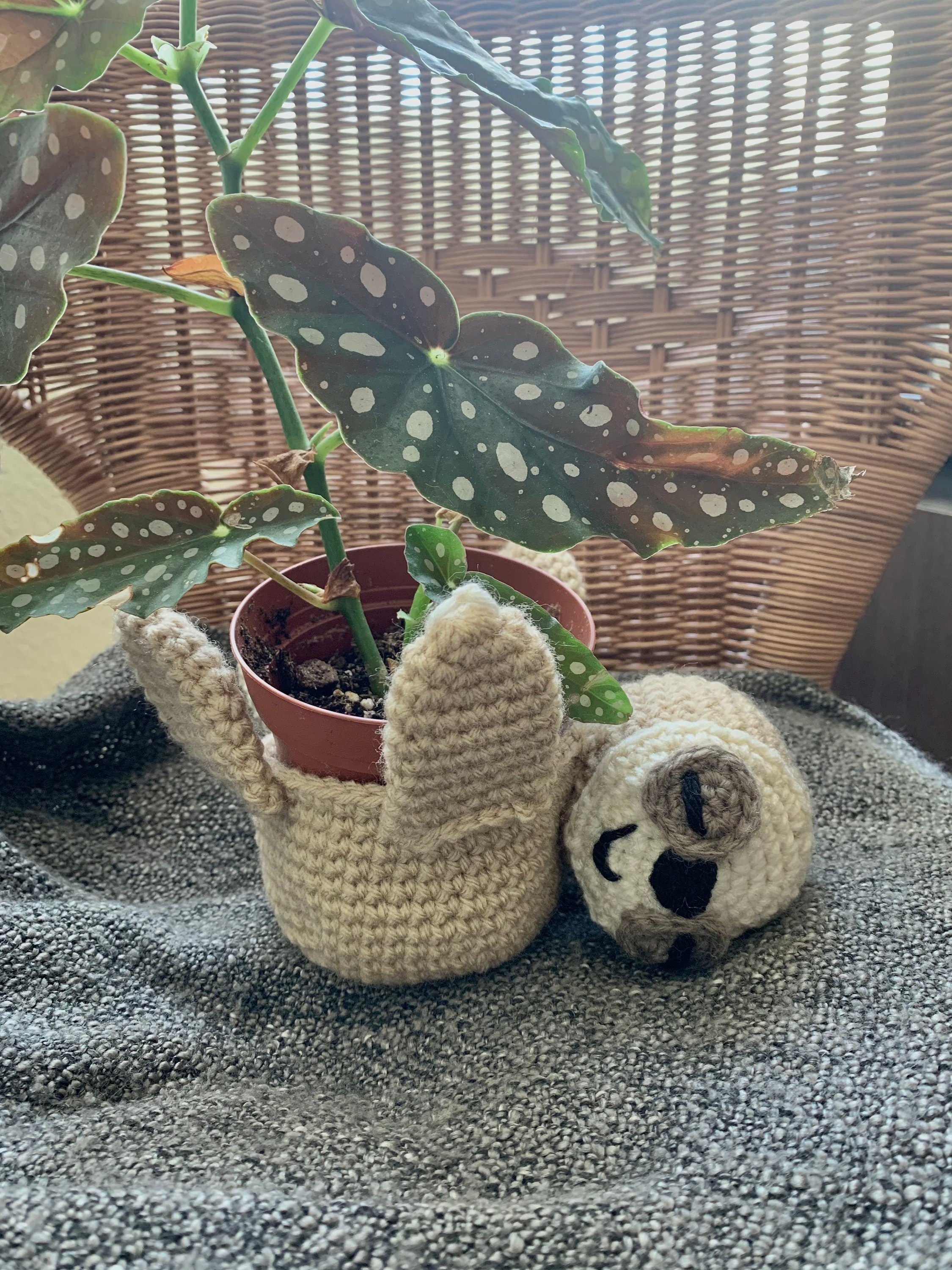 Crochet Sloth Hanging Plant Holder PDF Pattern - Etsy