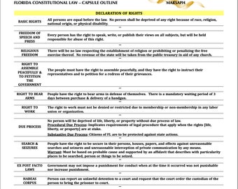 Florida Constitutional Law Outline