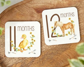 Farm Milestone Cards, Baby Milestone Cards, Watercolor Milestone Cards, Farm Nursery Decor, Baby Shower Gift, Newborn Baby Gift