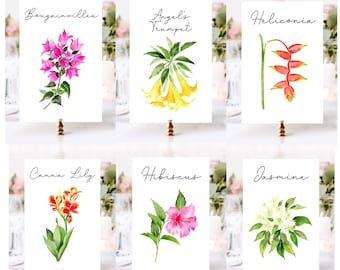 May include: Nine watercolor illustrations of tropical flowers with their names written above each image. The flowers are Bougainvillea, Angel's Trumpet, Heliconia, Canna Lily, Hibiscus, Jasmine, Penta, Bromeliad, and Chenille.
