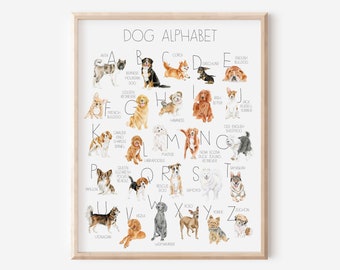 May include: A colorful alphabet poster featuring watercolor illustrations of different dog breeds. Each letter of the alphabet is paired with a dog breed, such as A for Akita, B for Bernese Mountain Dog, C for Corgi, and so on. The poster is titled "Dog Alphabet".