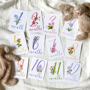 Baby Girl Milestone Cards, Watercolor Baby Month Cards, Floral Milestone Cards, Monthly Milestone Set, Baby Girl Milestone, Baby Shower Gift