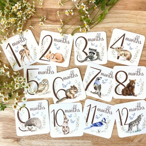 Woodland Milestone Cards, Cute Milestones Cards, Baby Boy Milestones, Watercolor Milestone Cards, Woodland Nursery Decor, Baby Shower Gift