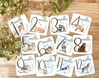 Woodland Milestone Cards, Animal Milestones, Watercolor Milestone Cards, Woodland Nursery Decor, Baby Shower Gift, Woodland Baby Gift