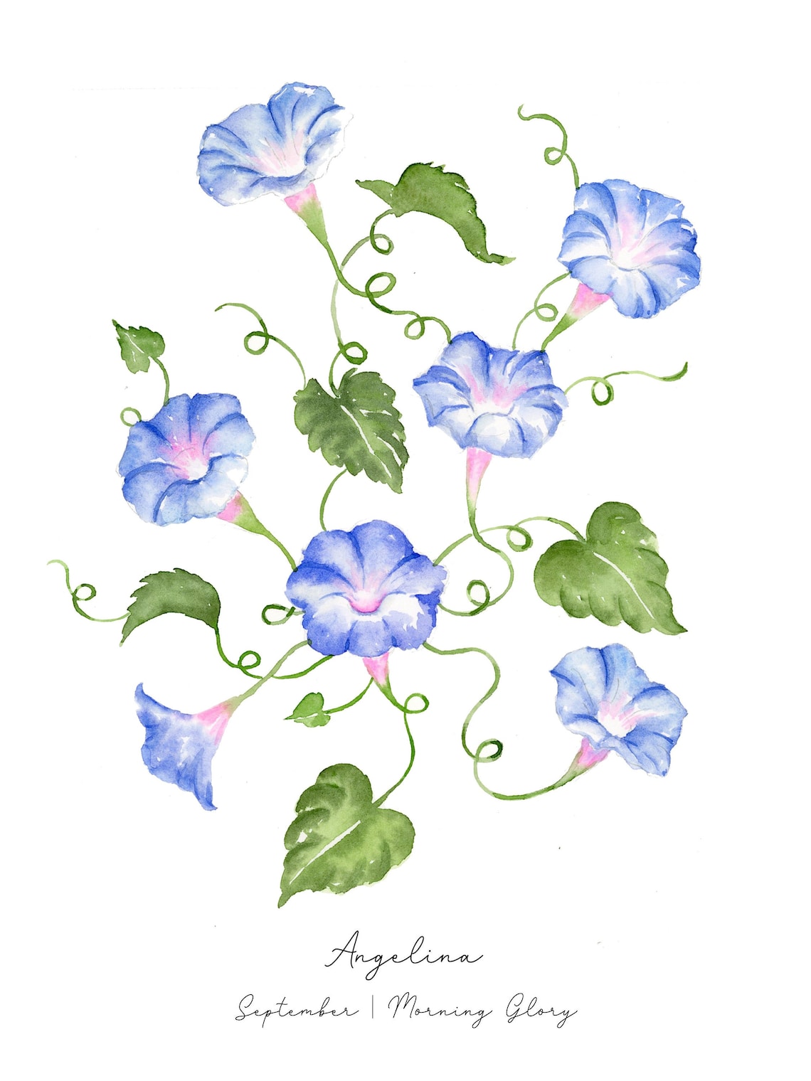 september-birth-flower-print-morning-glory-painting-personalized