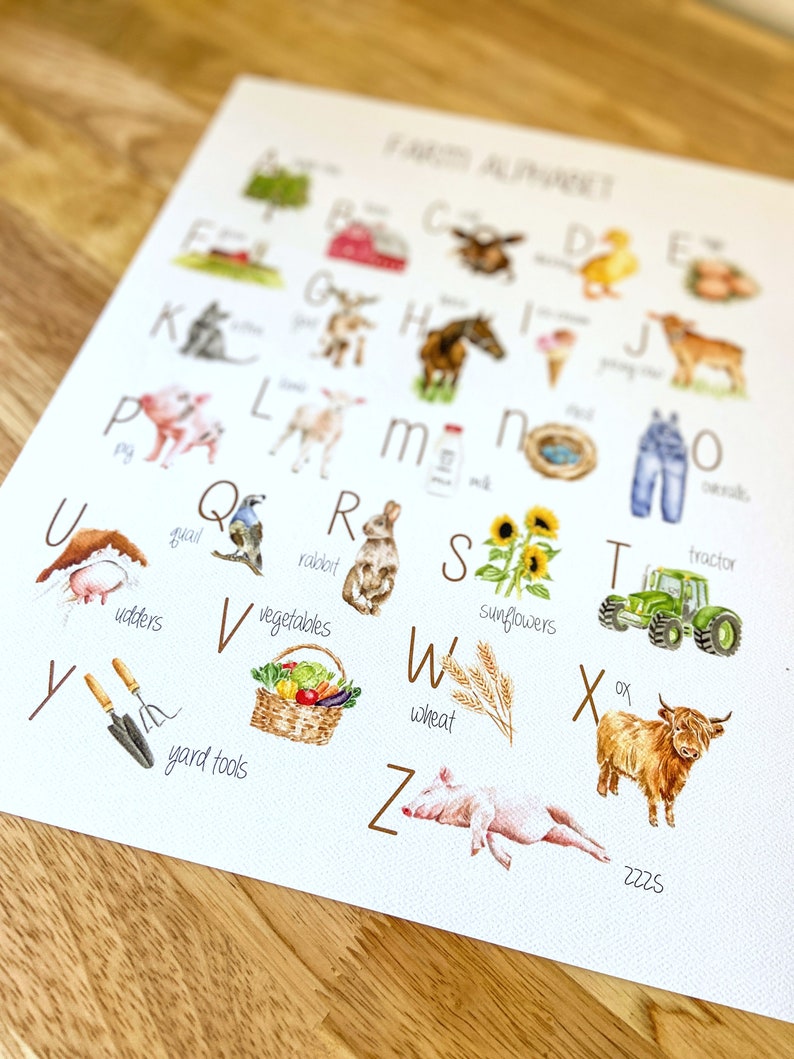 Pu&ograve; includere: Un grafico dell'alfabeto colorato con animali e oggetti della fattoria. Ogni lettera dell'alfabeto &egrave; abbinata a un'immagine legata alla fattoria, come un maiale, un trattore e un cesto di verdure. Il grafico &egrave; stampato su carta bianca con uno sfondo blu chiaro.