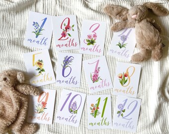 Baby Girl Milestone Cards, Floral Monthly Milestone Cards, Newborn Milestone, Newborn Baby Gift, Baby Girl Gift, Watercolor Baby Month Cards