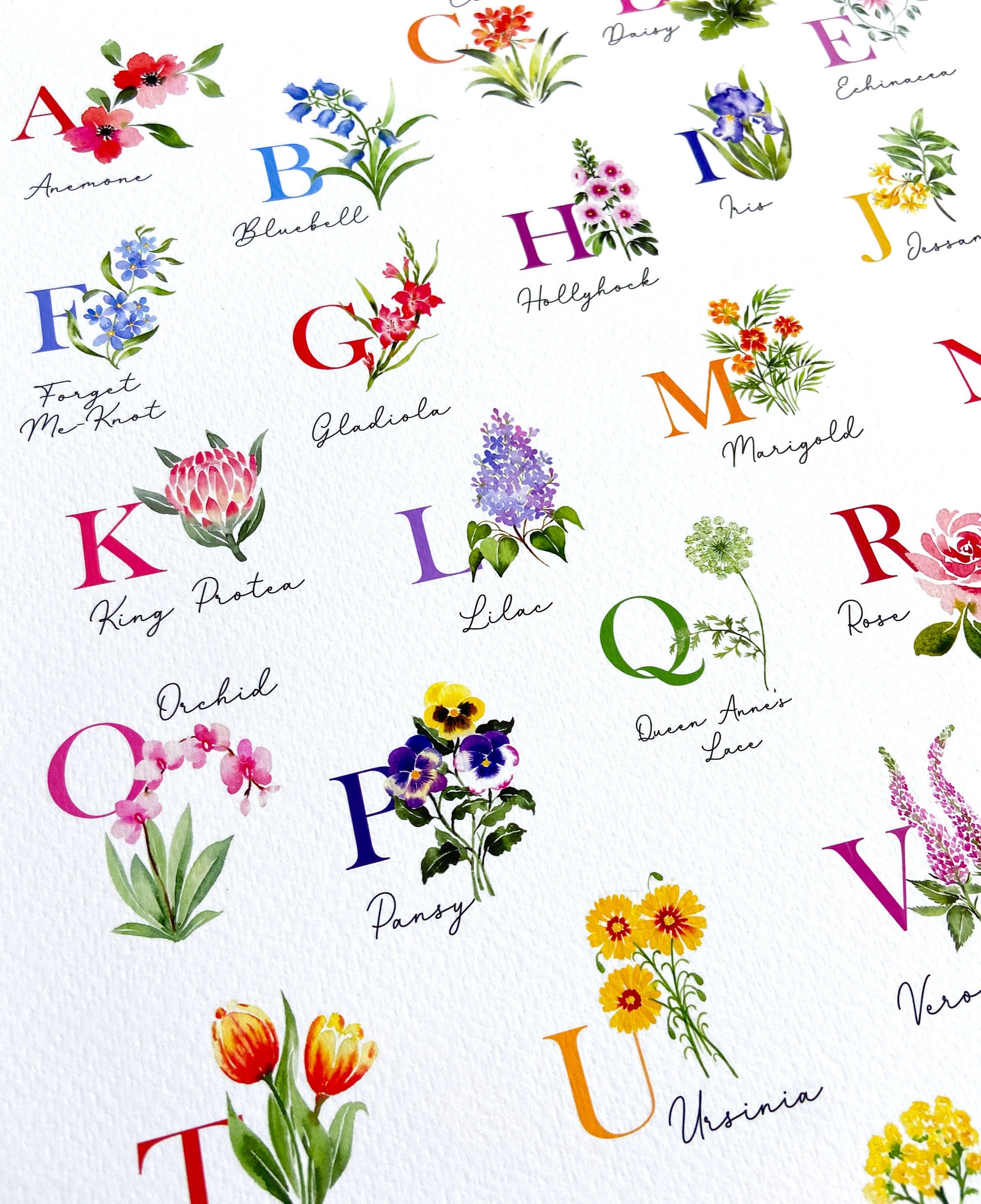 Blumen Alphabet Poster Aquarell Blume ABC Druck Wildblume Etsy